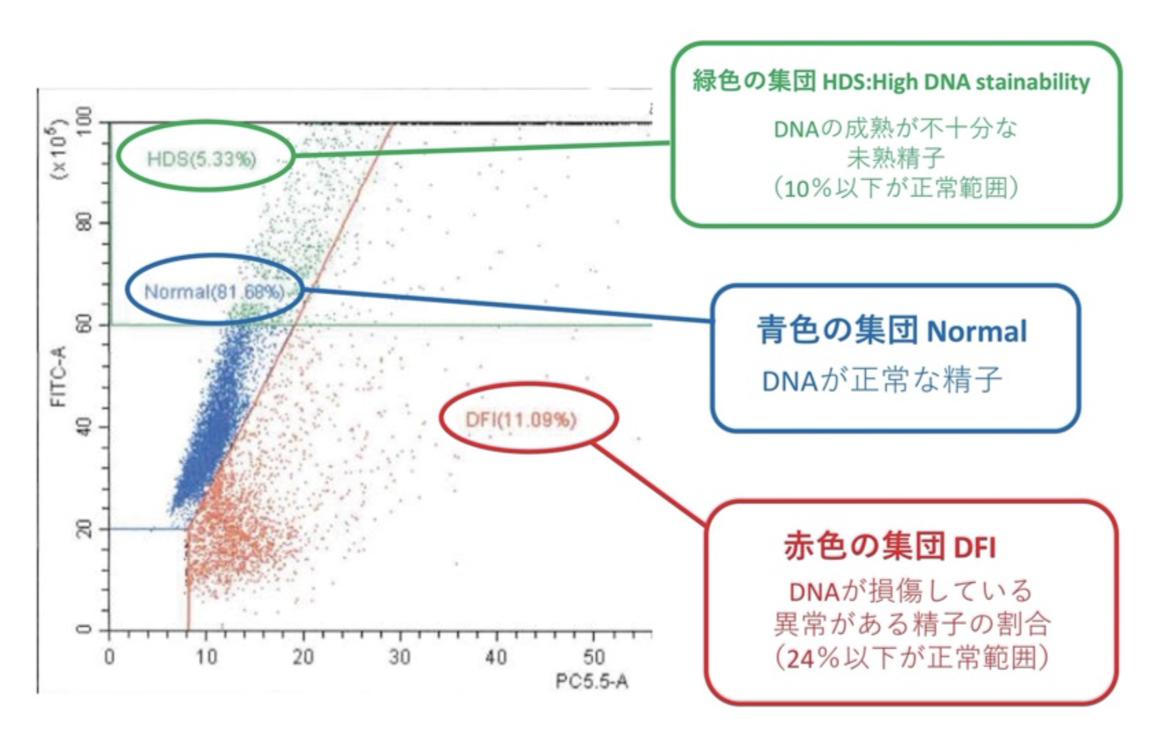 色分け