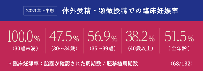 2023年上半期における体外受精・顕微授精