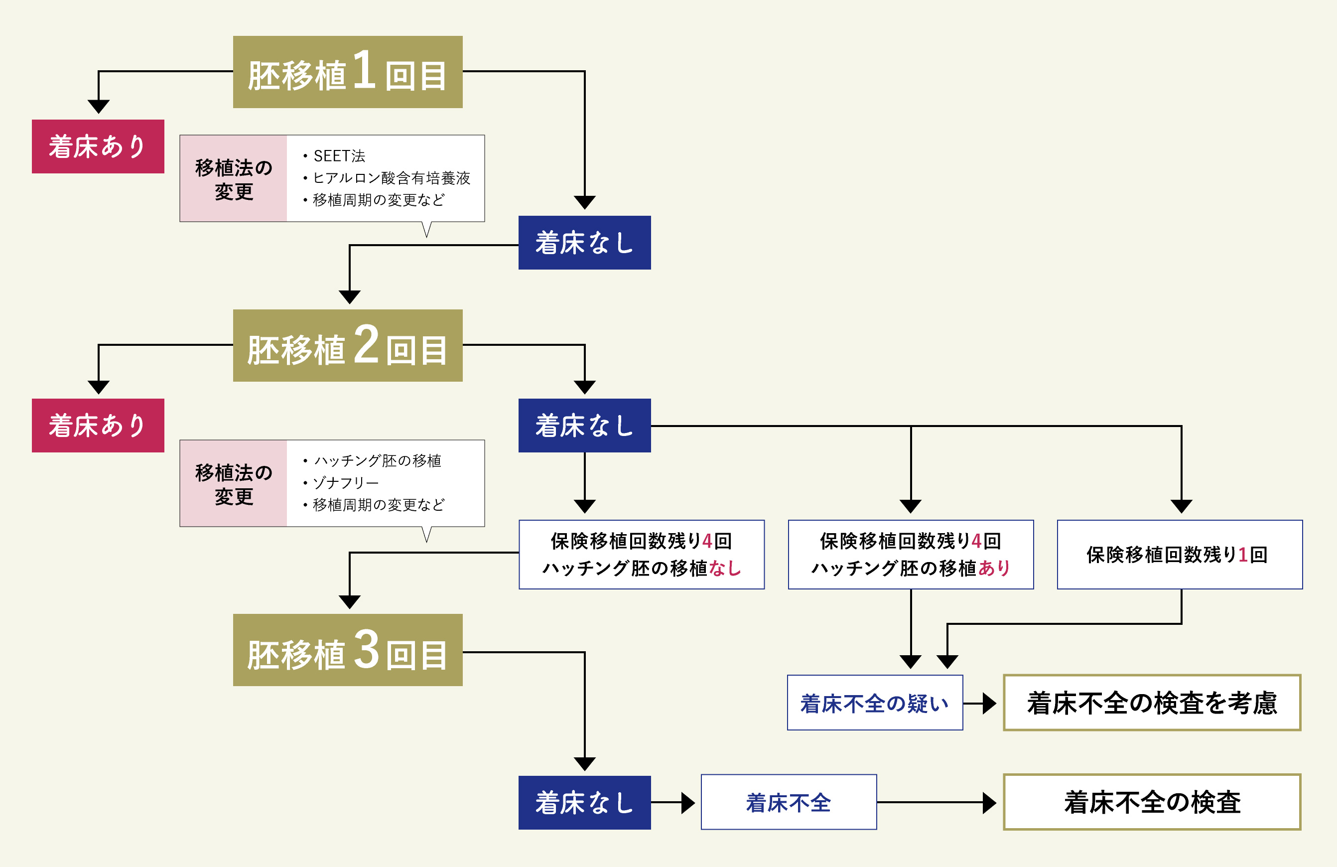 胚移植の治療戦略