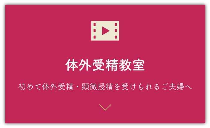体外受精教室