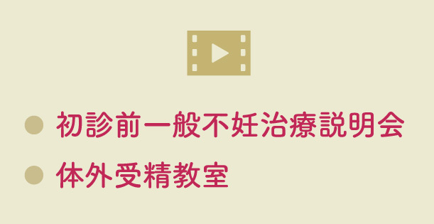 動画ページ