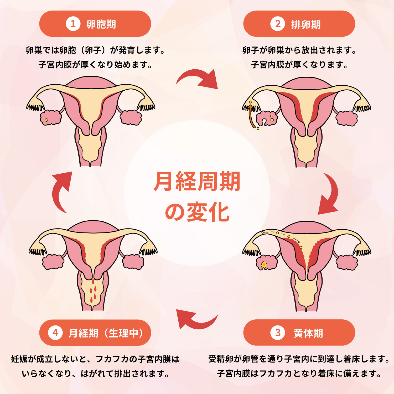 イラスト1