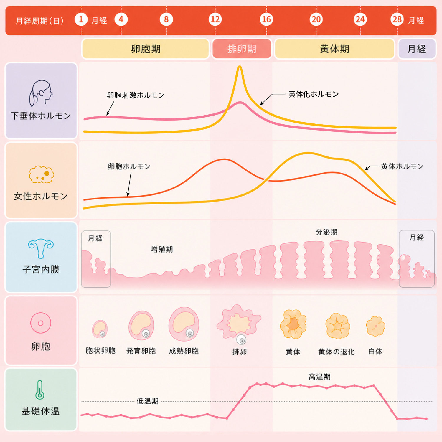 イラスト1-2