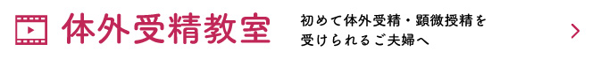 初めて体外受精・顕微授精を受けられるご夫婦へ